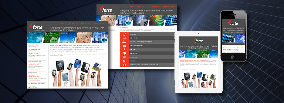Forte Technical Sales Web Site